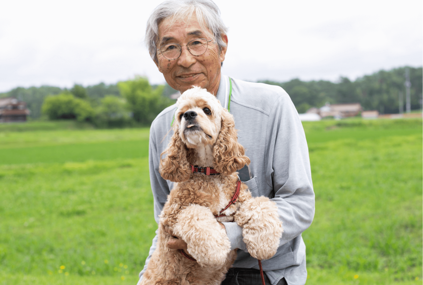 スライド：土づくりイメージ